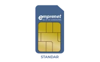 Standard 2FF (Grande)